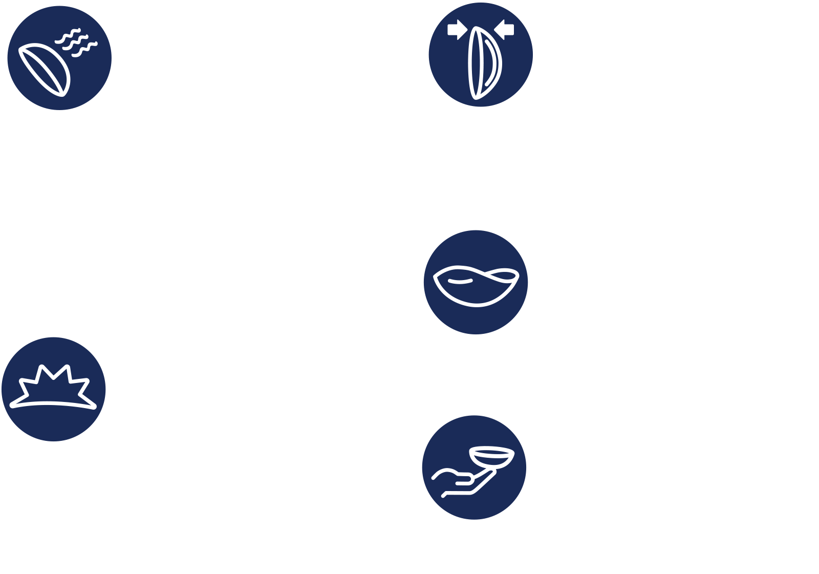 5つの特徴イメージ図
